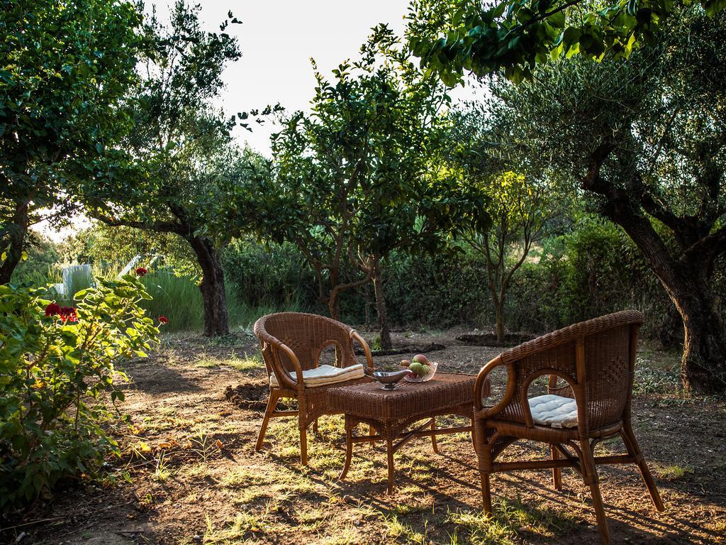 Areti Orfeas Studios Vasilikos  Exterior photo